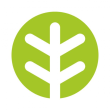 OfferingTree Logo