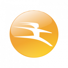 Flash Technologies Logo