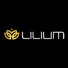 Lilium Software Solutions Ltd Logo
