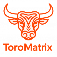 ToroMatrix Logo