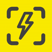 The New Standard Logo