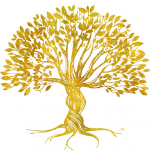 Tech Magister Logo
