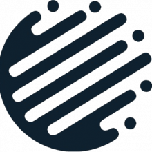 Professional Concept Logo