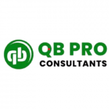 QB Pro Consultants Logo
