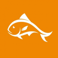 Pesce MediaWorks Logo