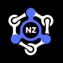 NZ Digital Solutions Logo