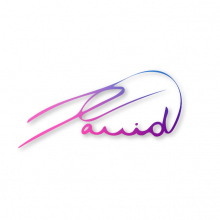 David Vatine Ltd Logo