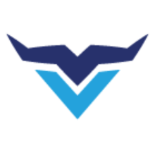 Veemi Accounting Logo