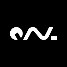 QNL Software Private Limited Logo