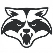 Raccoon Soft Logo