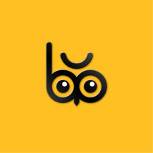 Bubo Branding Logo