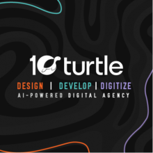 10turtle Global Pvt Ltd Logo