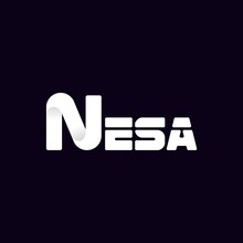 Nesa Software Logo