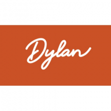 Dylan The Consultant Logo