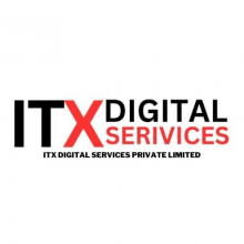 ITX Digital Services (PVT) LTD Logo