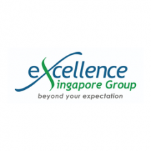 Excellence Singapore Group Logo