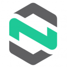 Netirio Logo