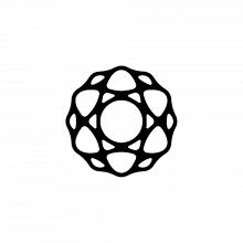 Evoswiss Logo