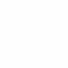 Sharkfold Ltd. Logo