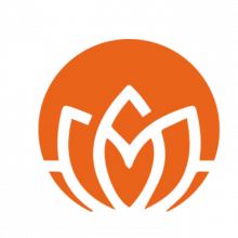 Dtroffle Digital Marketing Company Logo