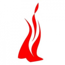 Mindfire Solutions Logo