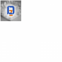 Deez Graphics & Studioz Logo