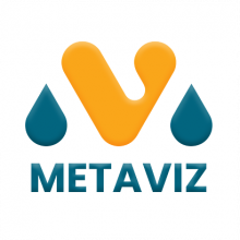 Metaviz Pro Logo