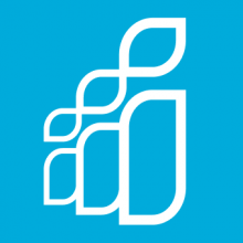 Software Country Logo