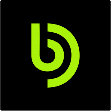 Brupace Digital Limited Logo