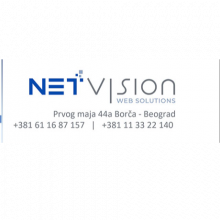 Net Vision Logo
