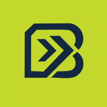 Brupace Digital Limited Logo