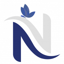 2N Consulting Group Logo