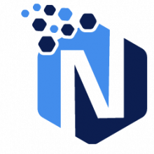 NetNavi Logo