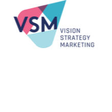 VISION STRATEGY MARKETING Logo