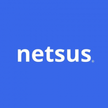 Netsus Logo