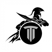 TITAN ELITE IT SERVICES Logo