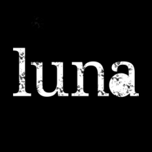 Luna 360 Media Logo