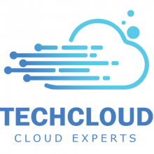 TechCloud IT Services L.L.C. Logo
