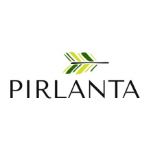 Pirlanta Logo