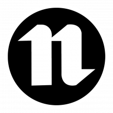 Nextechoasis Solutions LLP Logo