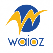 Waioz Technology Logo