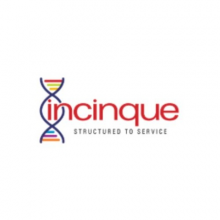 Incinque Business Solutions Logo