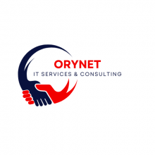 OryNet - IT Services & Consulting Logo
