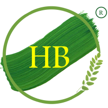 HB Associates Logo