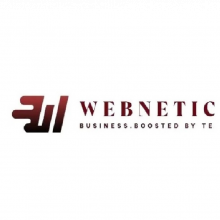 Webnetic Logo