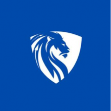 Nation Media Design Logo