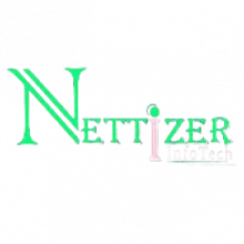 Nettizer InfoTech Logo