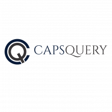 Capsquery Private Limited Logo