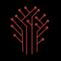 Digitalmonk Logo