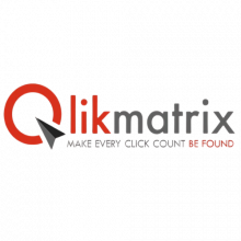 QlikMatrix SEM & Analytics Pvt. Ltd. Logo
